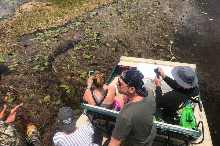 Private 1-Hour Airboat Tour of Miami Everglades