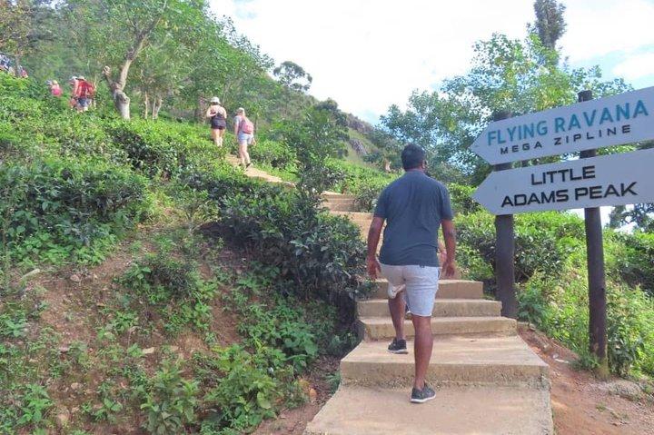 3-Day Sri Lanka Highlights: Culture to Wild (Min 2 Pax and above)