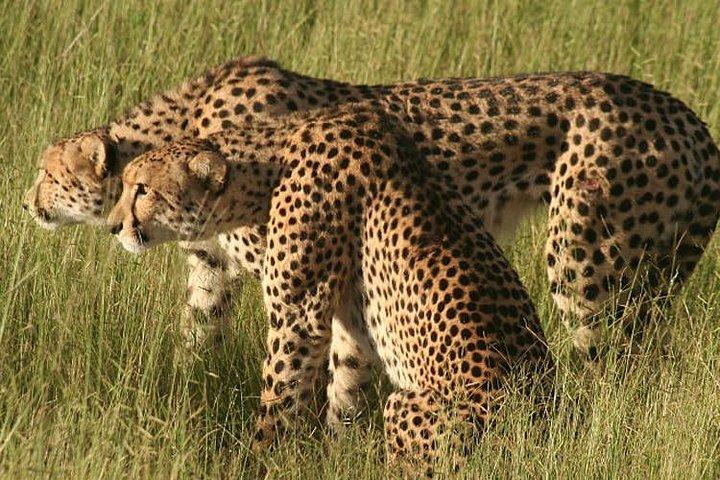 6 Days 5 nights Amboseli, Tsavo & Diani Beach