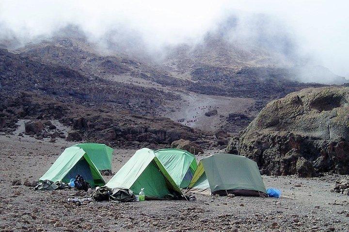Mt. Kilimanjaro Climb, 7 Days Machame route