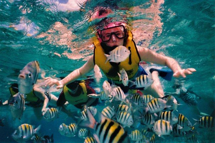 5 Islands & Ile aux Cerfs Speedboat Cruise, Snorkeling + Lunch