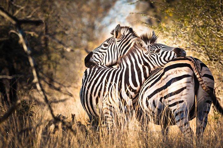 Day Trip Tour to Arusha National Park