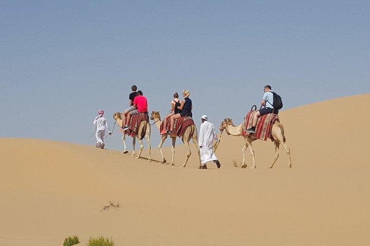 Abu Dhabi Desert safari with BBQ Dinner,Sandboarding & Camel ride