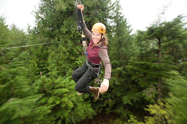 Ketchikan Shore Excursion: Rainforest Canopy Ropes and Zipline Adventure Park
