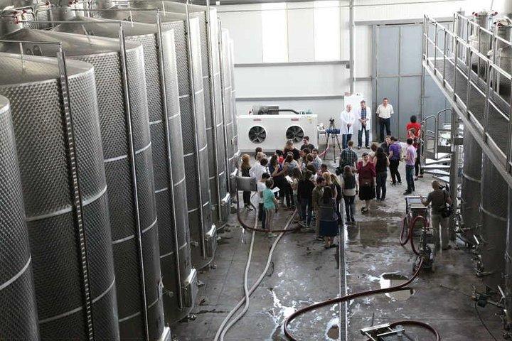 Kakheti Wine Private Tour from Tbilisi with Sighnaghi & Bodbe