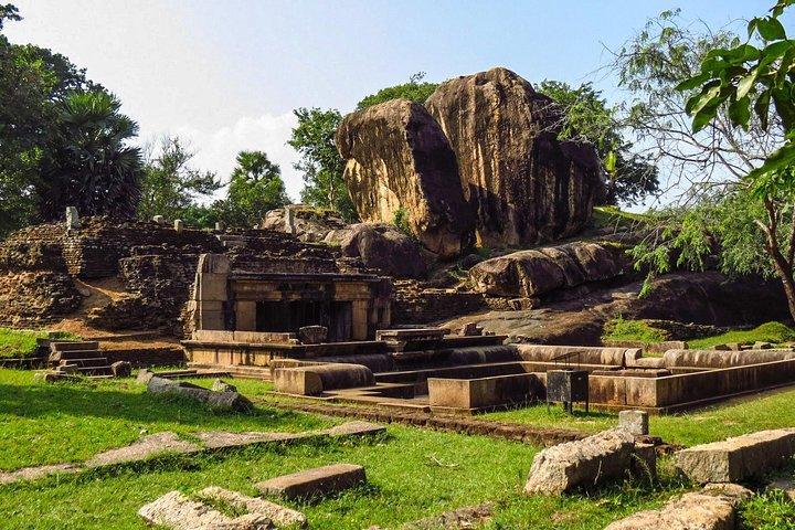 Day Trip To Anuradhapura Kingdom and Wilpattu Safari From Colombo