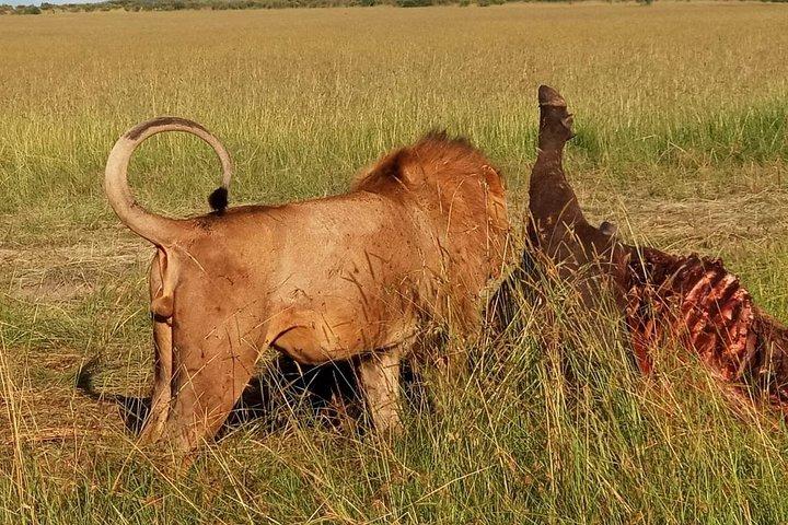2 Days Maasai mara camping group safari