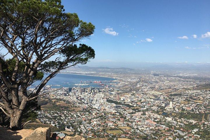 Lion's Head Hike - Private Tour