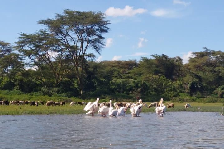 Lake Naivasha, Nakuru Day Excursion