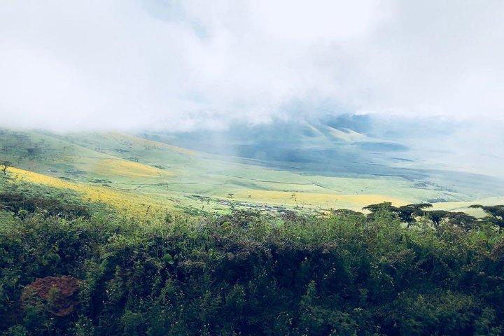 Ngorongoro National Park and Game Drive: Guided Day Tour from Arusha