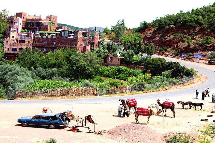 Shared Groupe Atlas Berber Life Ourika Valley One Day