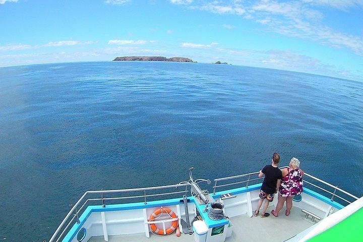 Berlengas Island Catamaran Tour - Round Trip