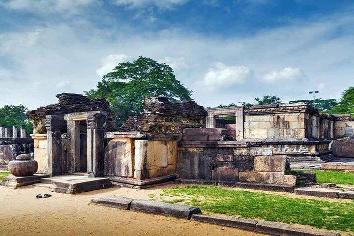Day Trip To Anuradhapura Kingdom and Wilpattu Safari From Colombo