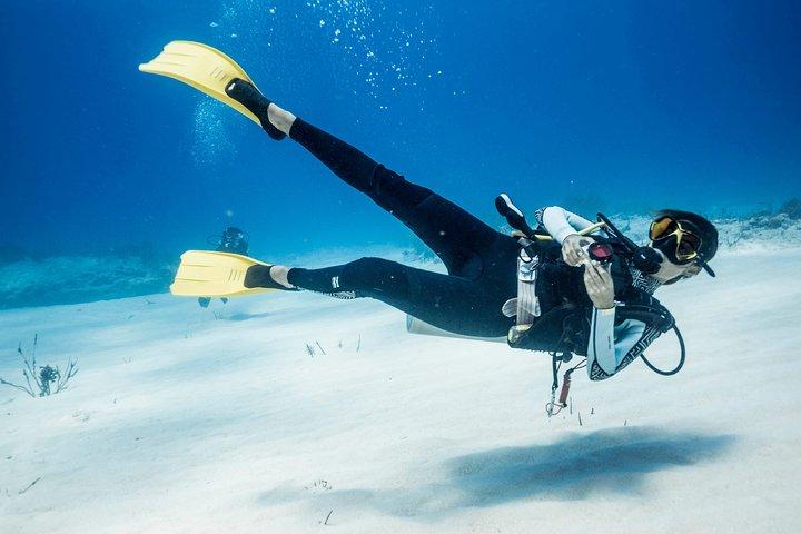 Two tanks local diving for certified divers, SCUBA gear included