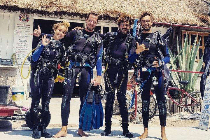 Two tanks local diving for certified divers, SCUBA gear included