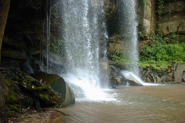 Shimba Hills National Reserve Day Tour from Mombasa/Diani Beach & surroundings