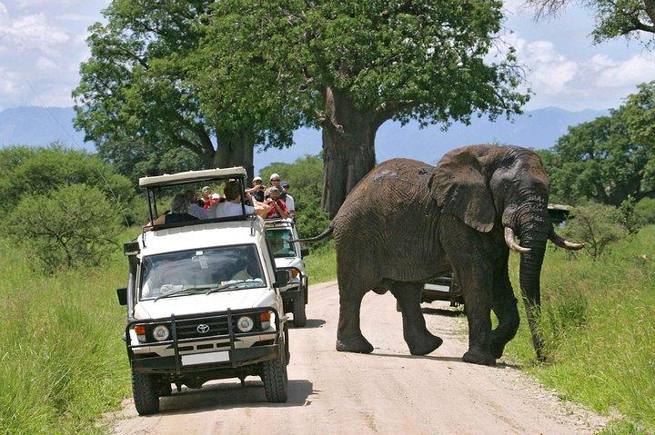 Aberdares National Park Luxury Lodge Safari 2days 1 Night Tour
