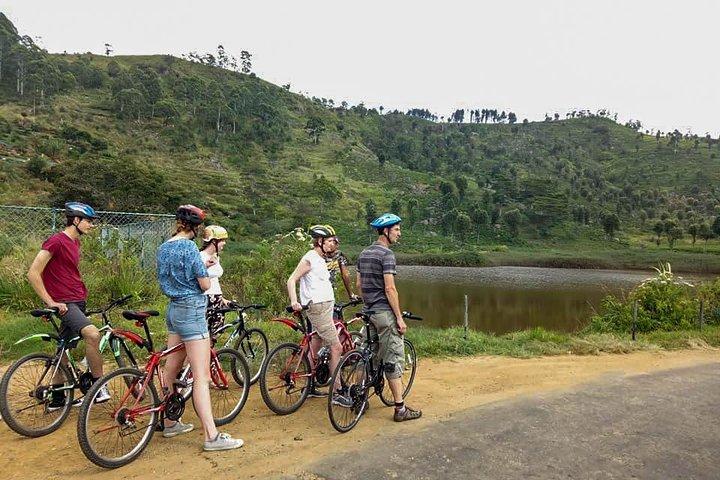 Ellawala Waterfall Cycling Tour from Ella