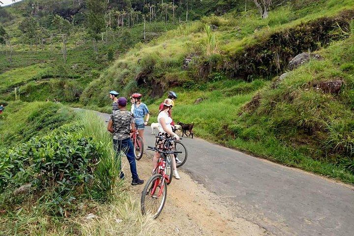Ellawala Waterfall Cycling Tour from Ella
