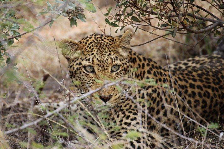 07 Days Sri Lanka Tour - Splendid Ceylon