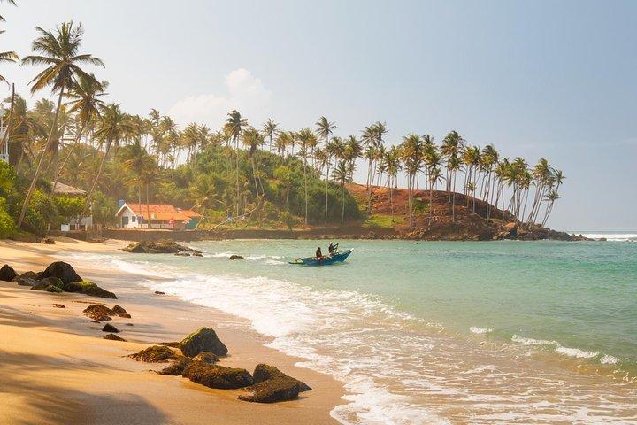 Beach & Green Hills Week Tour
