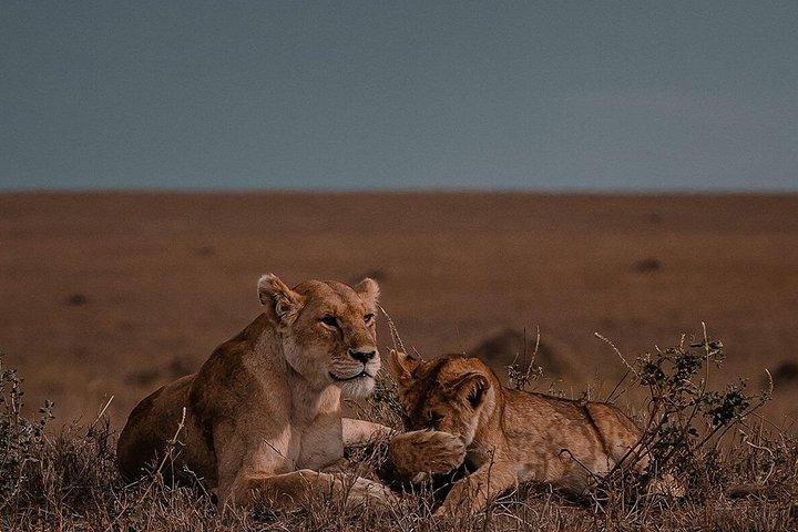 4 Days Serengeti, Tarangire, Ngorongoro Safari Tour