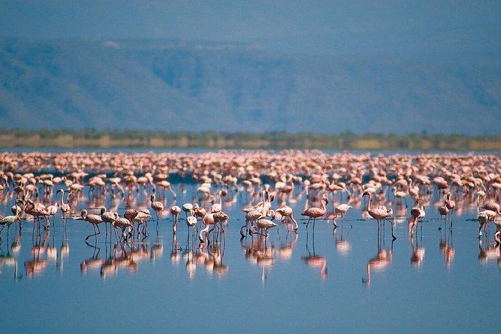 4 Days Serengeti, Tarangire, Ngorongoro Safari Tour