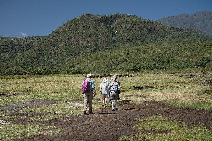 Day Trip Tour to Arusha National Park
