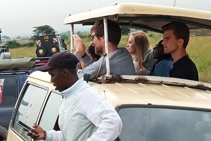 Nairobi National Park,Baby Elephant Orphanage&Giraffe Center Tour