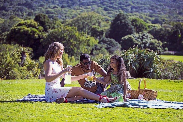 From Cape Town: Table Mountain, Kirstenbosch & Wine Tasting