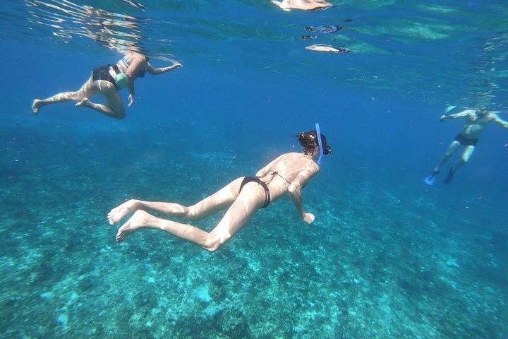 Cozumel Snorkel Experience, swim stunning reefs from Cancun