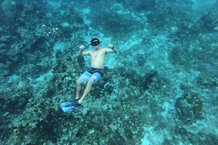 Cozumel Snorkel Experience, swim stunning reefs from Cancun