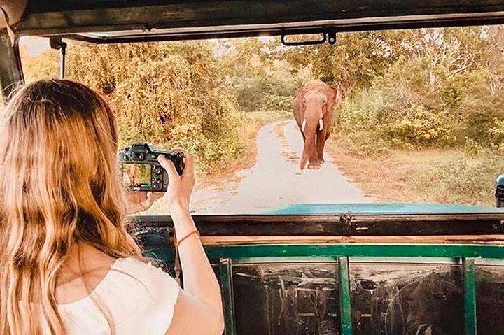 08 - Day Classic Tour with English speaking drive and Private luxury vehicles