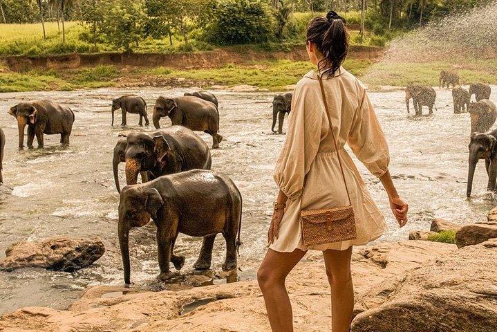 08 - Day Classic Tour with English speaking drive and Private luxury vehicles