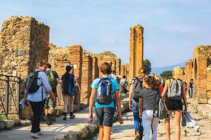 From Sorrento: Pompeii Skip-the-Line Tour