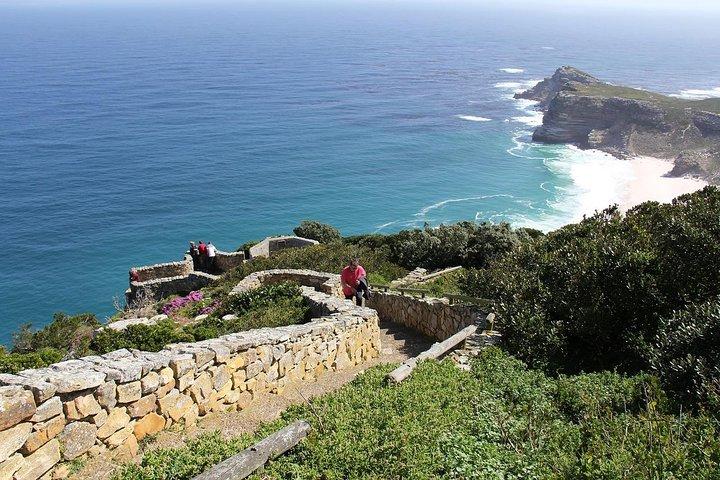 Best of The Cape Full Day Private Tour with Table Mountain