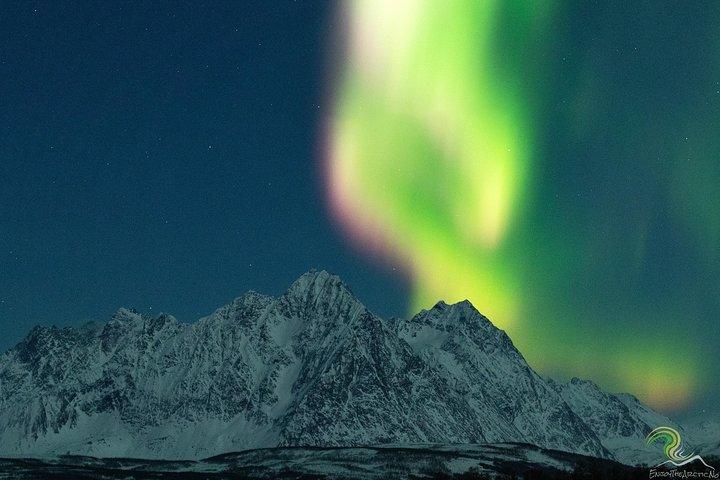 Small-Group Northern Lights Tour from Tromso with Photos
