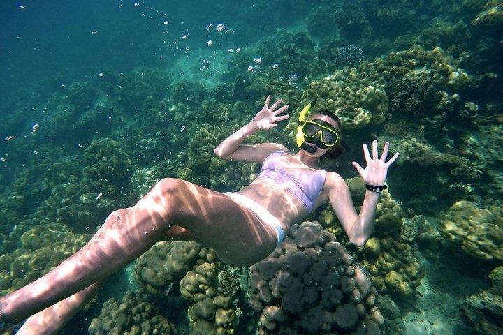 Phi Phi & Bamboo Islands w/ Lunch by Speedboat or Speed Catamaran