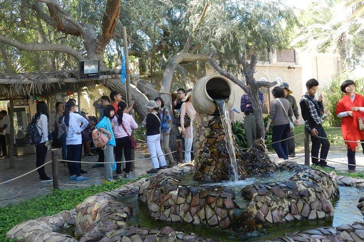 Private Abu Dhabi City Sightseeing Tour from Dubai