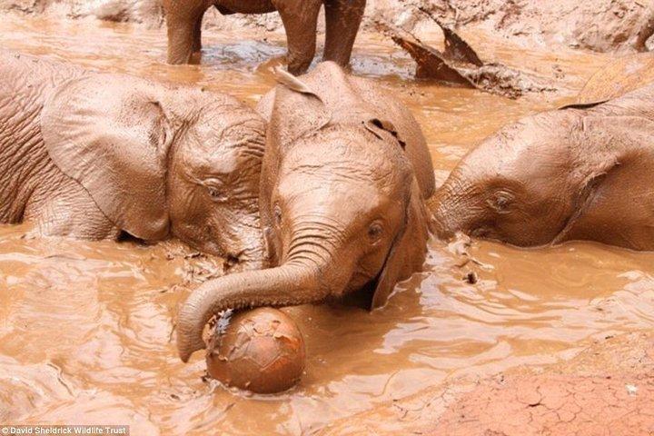 Nairobi Half Day Excursion