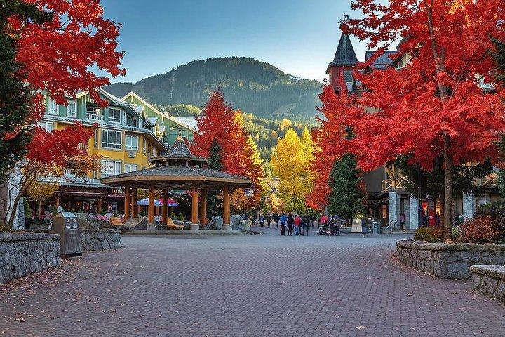 Private Whistler Day Trip from Vancouver — Hotel Pickup Included