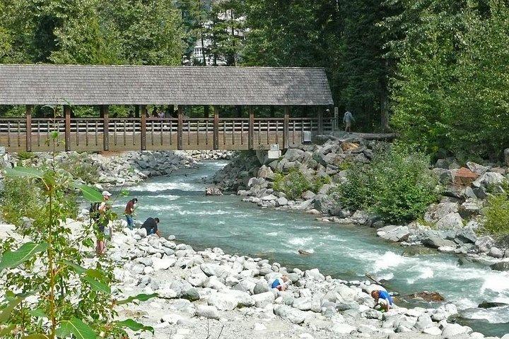 Private Whistler Day Trip from Vancouver — Hotel Pickup Included