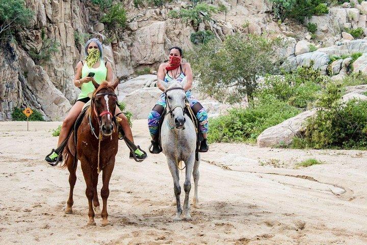 Cabo San Lucas Beach and Desert Horseback Ride