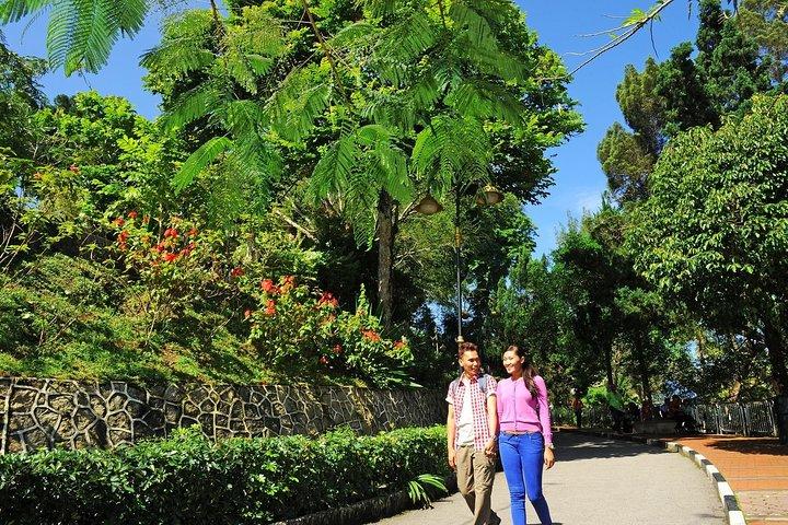 Half Day Penang Guided Trip With Kek Lok Si Temple