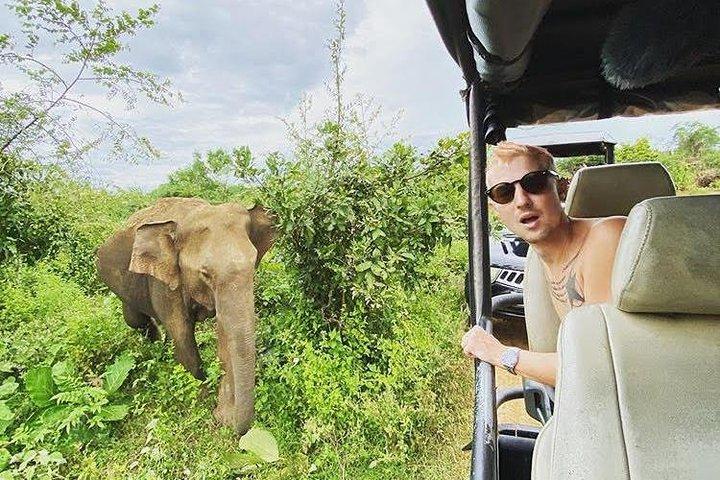 Udawalawe National Park - Half Day Safari Tour