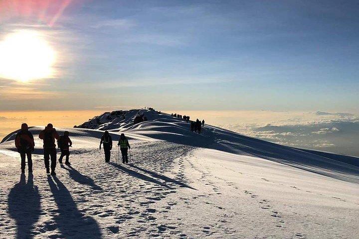 Kilimanjaro Climb - 8 Days Lemosho Route