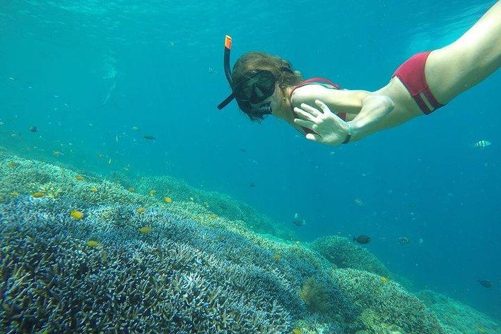 Exclusive Day Trip to Gili Trawangan, Meno & Air: Depart Lombok