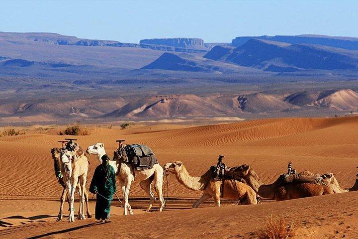 2 days Tour from Marrakech, Zagora Desert Camp