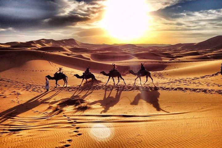 2 days Tour from Marrakech, Zagora Desert Camp
