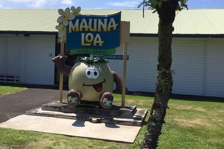 Oahu to Big Island 1 Day Trip : Volcano Tour from Oahu with Air Ticket